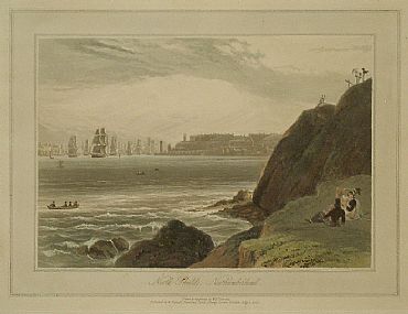 Detailed image. Please click to enlarge