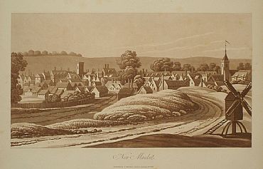 Detailed image. Please click to enlarge