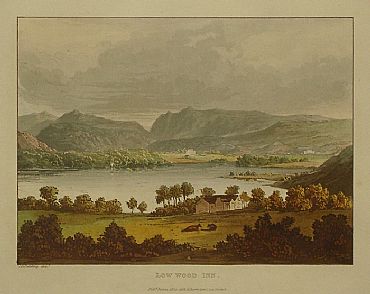 Detailed image. Please click to enlarge