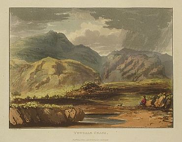 Detailed image. Please click to enlarge