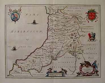 Detailed image. Please click to enlarge