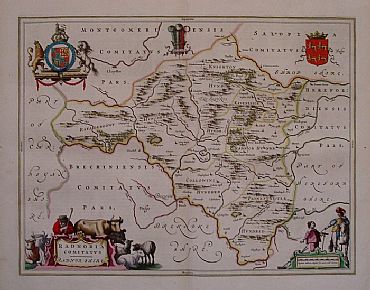 Detailed image. Please click to enlarge