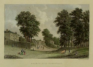 Detailed image. Please click to enlarge