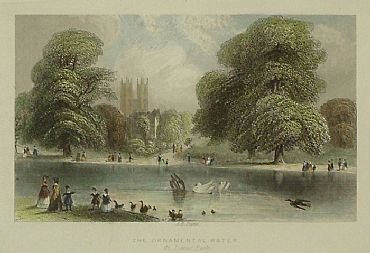 Detailed image. Please click to enlarge