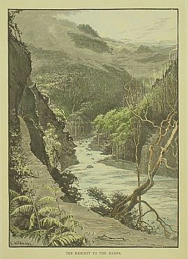 Detailed image. Please click to enlarge