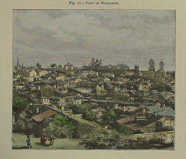 Detailed image. Please click to enlarge