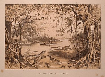Detailed image. Please click to enlarge
