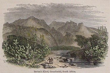 Detailed image. Please click to enlarge