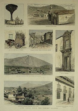 Detailed image. Please click to enlarge