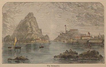 Detailed image. Please click to enlarge
