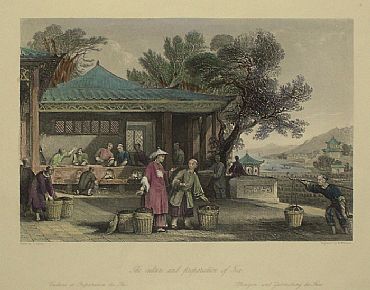 Detailed image. Please click to enlarge