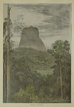 Detailed image. Please click to enlarge